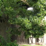 Jeetzel, Kapelle, Außenansicht