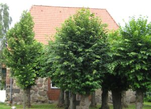 Schmarsau, Kapelle, Außenansicht